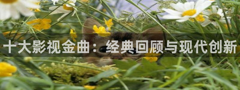 大陆伦理视频在线观看：十大影视金曲：经典回顾与现代创新
