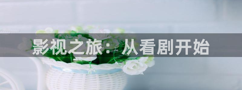 伦理视频日本：影视之旅：从看剧开始