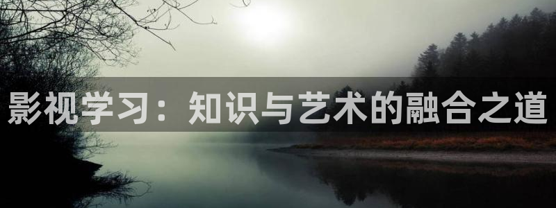 飘花伦理影院：影视学习：知识与艺术的融合之道