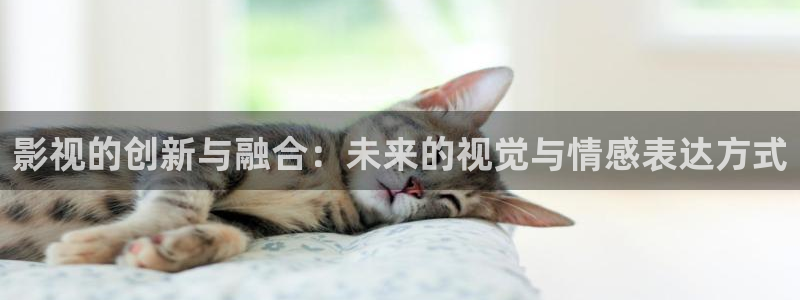 秋霞伦理影视大全