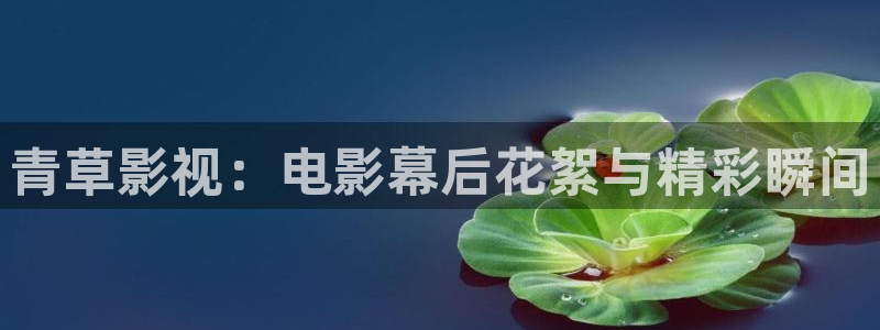 神马影院在线伦理视频：青草影视：电影幕后花絮与精彩瞬间