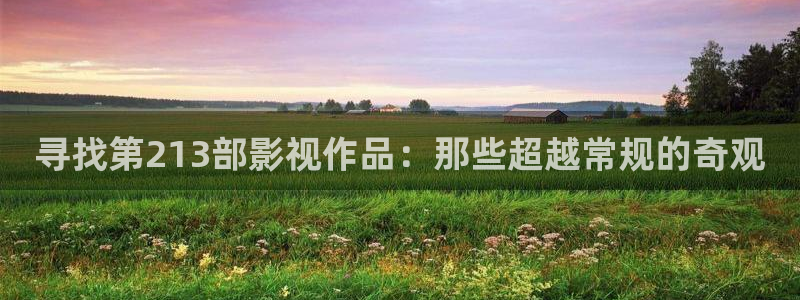 伦理影院欧美：寻找第213部影视作品：那些超越常规的奇观