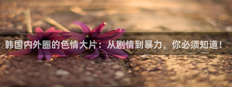 伦理影视网：韩国内外圈的色情大片：从剧情到暴力，你必须知道！