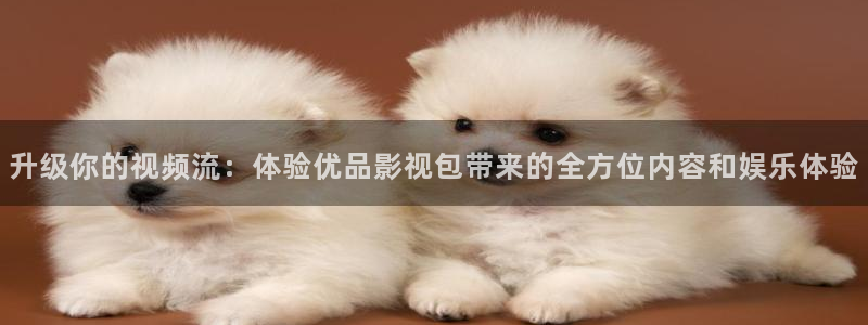 秋霞午夜伦理影视